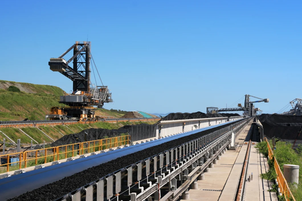 Long Span Belt Conveyor for Power Plant Meet Cema Standard